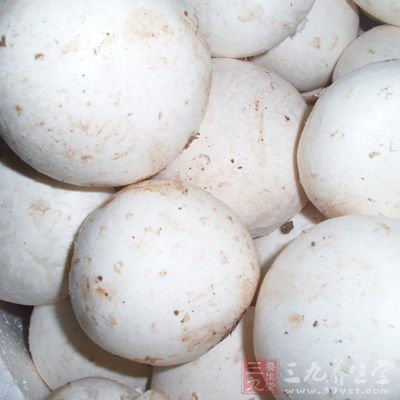 新鮮口蘑300克