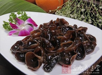 黑木耳被譽為素中之葷 黑木耳被譽為素中之葷