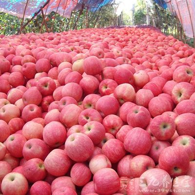 蘋果能夠潤肺