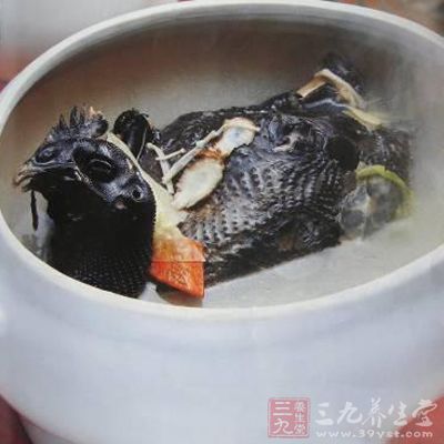 細辛川烏雞肉湯