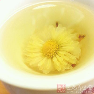 金銀菊花茶