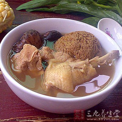 猴頭菇雞湯