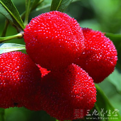 癌症患者吃什麼對胃好