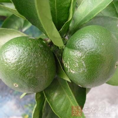 橘子味甘酸、性溫，入肺