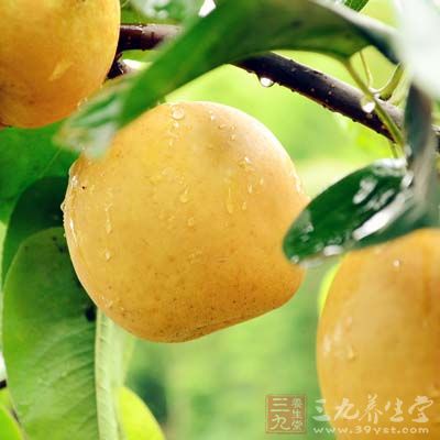 梨性偏寒助濕