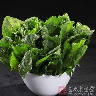 菠菜可以清理人體腸胃裡的熱毒 菠菜可以清理人體腸胃裡的熱毒