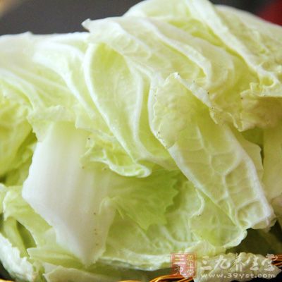 多吃白菜不僅有助於消化 多吃白菜不僅有助於消化