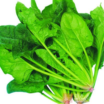 菠菜中含有女性比較容易缺乏的礦物質——鎂 菠菜中含有女性比較容易缺乏的礦物質——鎂