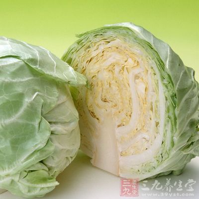 高麗菜因為營養價值有如菜中的高麗參而得名 高麗菜因為營養價值有如菜中的高麗參而得名