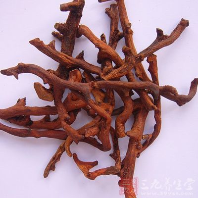 材料:骨碎補15克 材料:骨碎補15克