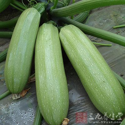 新鮮菜瓜脯 新鮮菜瓜脯