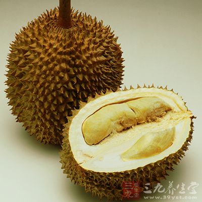 溫熱性水果榴蓮 溫熱性水果榴蓮