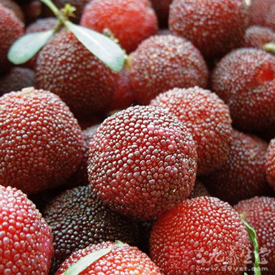 楊梅生津止渴 楊梅生津止渴