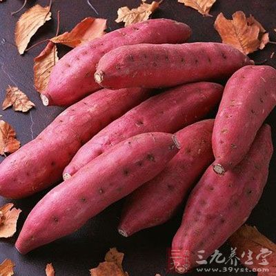 紅薯潤肺的功效