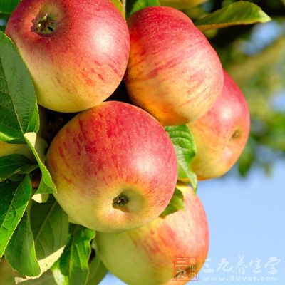 蘋果用水沖洗一下,浸濕表面 蘋果用水沖洗一下,浸濕表面