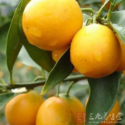 原料:新鮮金橘2斤、白砂糖40克、冰糖40克 原料:新鮮金橘2斤、白砂糖40克、冰糖40克