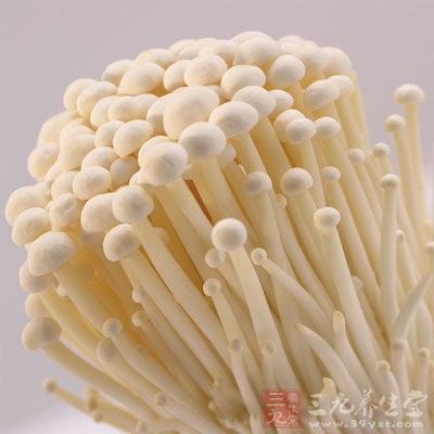金針菇清熱解憂
