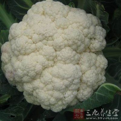 花菜生津止渴