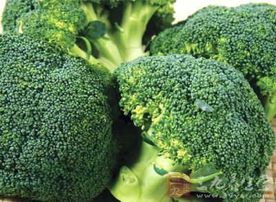孕婦營養食物西蘭花