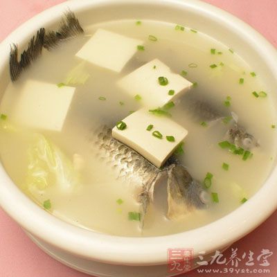鲫魚豆腐湯