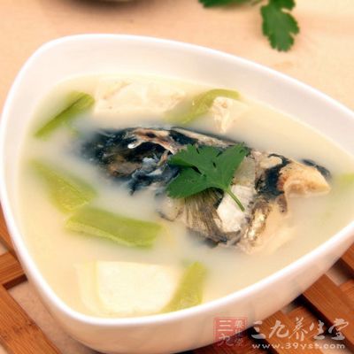 絲瓜豆腐魚頭湯