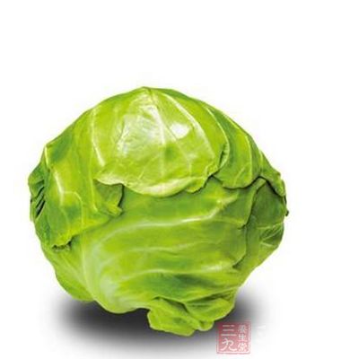 圓白菜維生素C含量很豐富