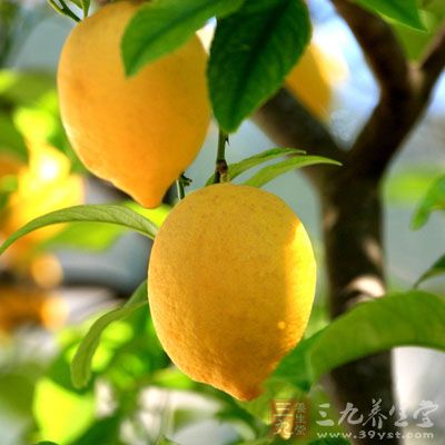 粗糧中都有一種名叫“骯酶”的抑制劑