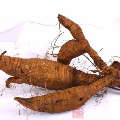 葛根供藥用 葛根供藥用