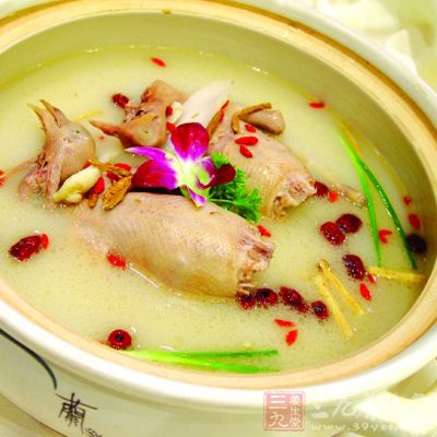天麻乳鴿湯