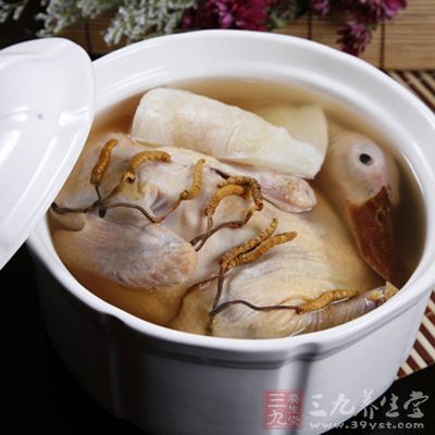 蟲草煲水鴨
