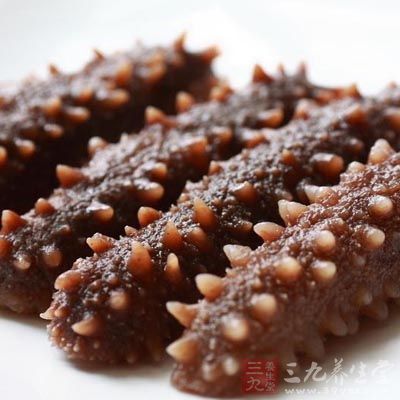 海參中碘的含量很高