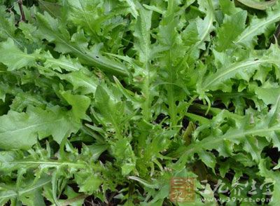 材料：荠菜(鮮品)60克