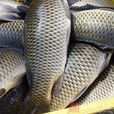 必須嚴格限制魚、肥肉、鱿魚、蝦、蟹黃的攝入