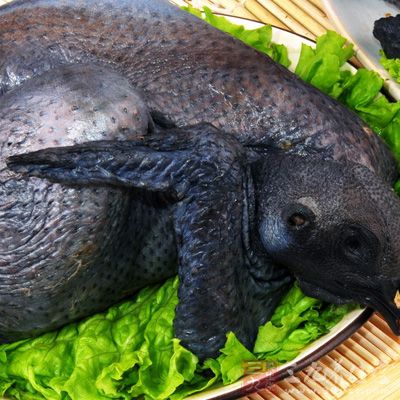 烏骨雞/母雞半只 烏骨雞/母雞半只