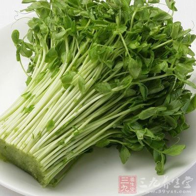豆苗有清肝明目的食療功效