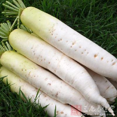 蘿卜纖維素含量較高，因此能夠順利幫助人體進行腸胃的蠕動和食物代