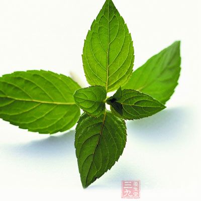 做法：薄荷葉20克