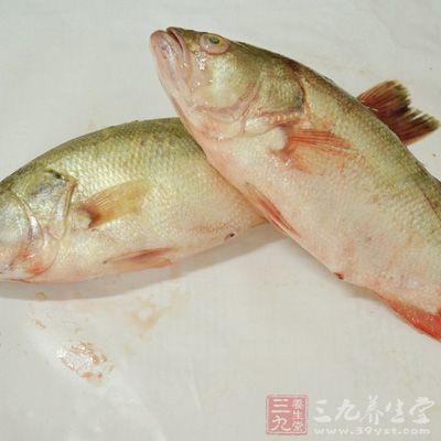 小編建議可以多吃動物肝髒、肉類、魚類來補充鐵元素