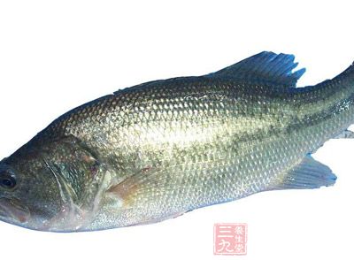 鲈魚含蛋白質、脂肪、碳水化合物等營養成分，還含有維生素B2、煙酸和微量的維生素B1、磷、鐵等物質