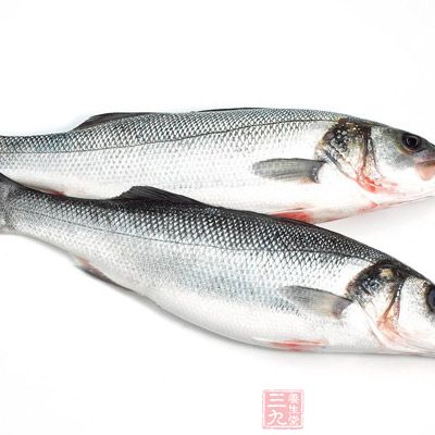 鲈魚血中還有較多的銅元素，銅能維持神經系統的正常的功能並參與數種物質代謝的關鍵酶的功能發揮，銅元素缺乏的人可食用鲈魚來補充