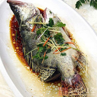 桂魚所含的豐富的營養對於人體健康來說是很有幫助的