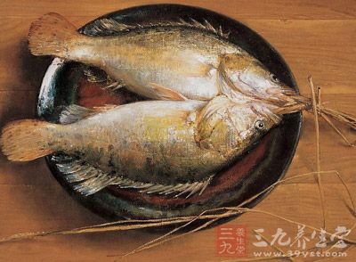 桂魚有豐富的蛋白質、脂肪，還含有鈣、鉀、鎂、硒等微量元素