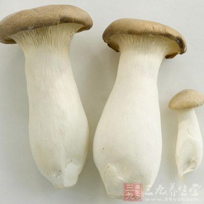 杏鮑菇具有降血脂、降膽固醇、促進胃腸消化、增強機體免疫能力、防止心血管病等功效
