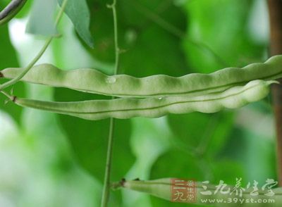 豆角有豐富的維生素和礦物質，營養價值很高的，並且它是嫩豆教的時候肉質很肥厚