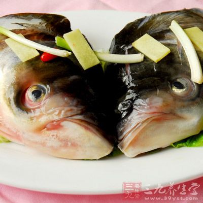 魚頭營養高、口味好，有助於增強人的體能，並對降低血脂、健腦及延緩衰老有好處