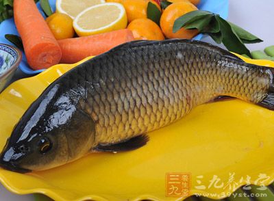 鯉魚有滋補健胃、利水消腫、通乳、清熱解毒、止號嗽下氣，對各種水腫、浮腫、腹脹、少尿、黃疸、乳汁不通皆有益