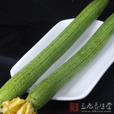 多吃一些絲瓜可以有效的預防和治療壞血病