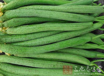 絲瓜是所有瓜類食材中營養含量很高的瓜類之一。絲瓜全部都可以入藥的