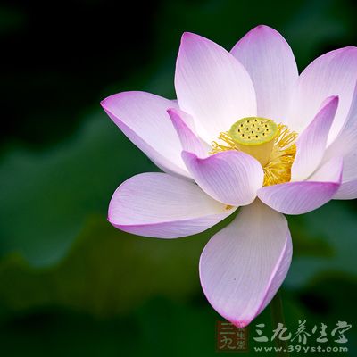 吃粥需因人、因時、因地制宜