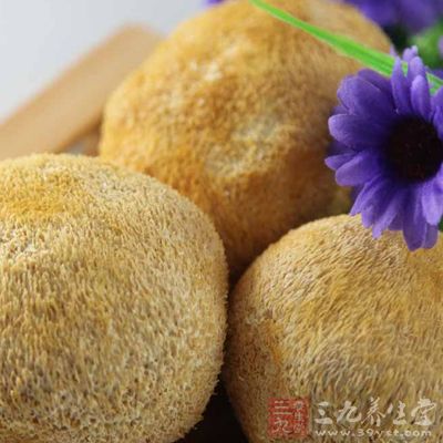猴頭菇粥做法